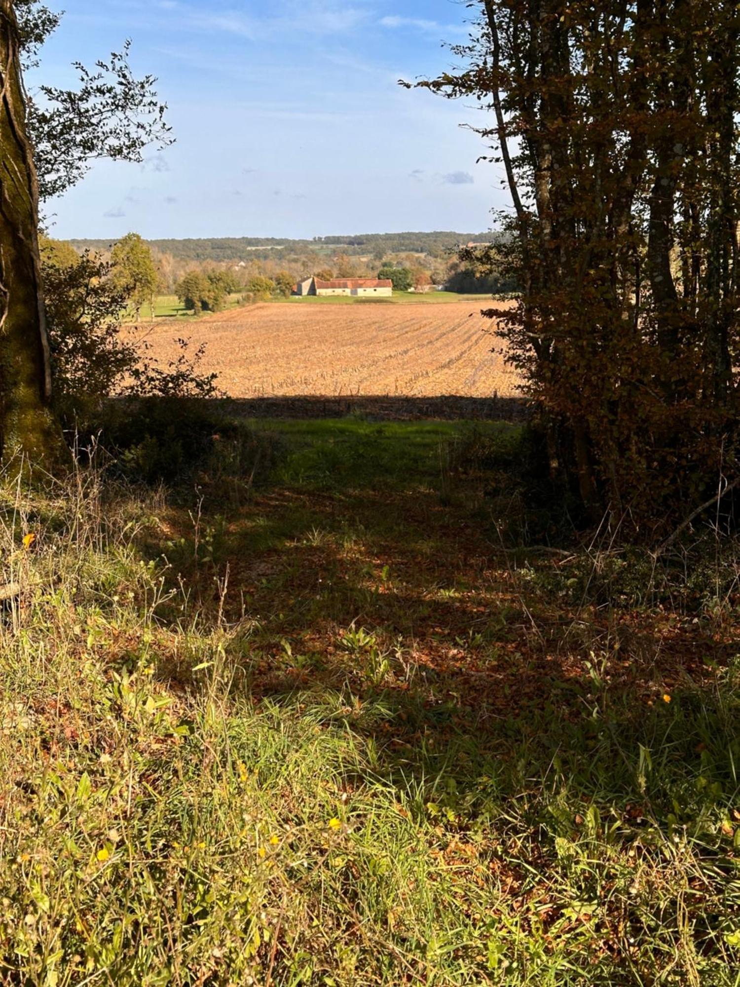 The Charming Private Farmhouse At La Grenouillere Puyreaux Exterior photo